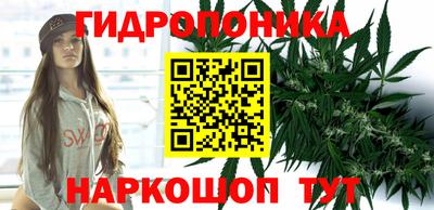 сатива Первоуральск