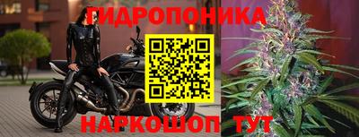 сатива Первоуральск