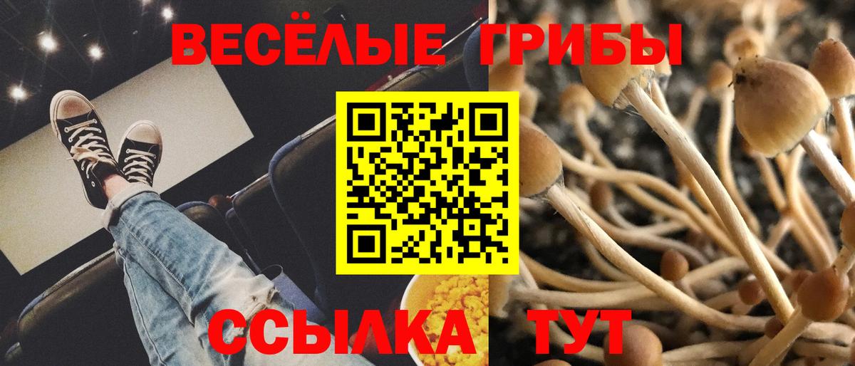 Псилоцибиновые грибы Magic Shrooms  Псилоцибиновые грибы Magic Shrooms  Наро-Фоминск  Вход с VPN 